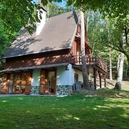 Holiday Home Zajicovi Rabyne エクステリア 写真