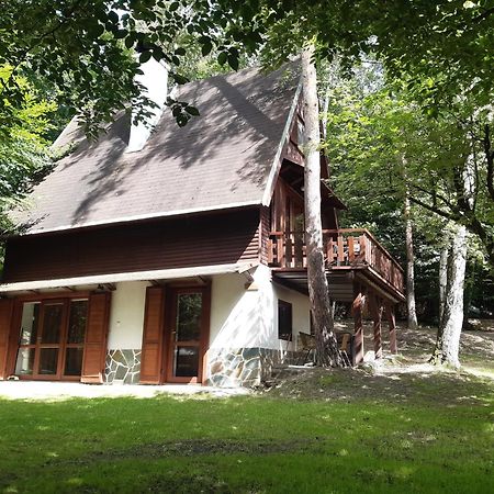 Holiday Home Zajicovi Rabyne エクステリア 写真