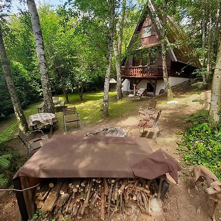 Holiday Home Zajicovi Rabyne エクステリア 写真