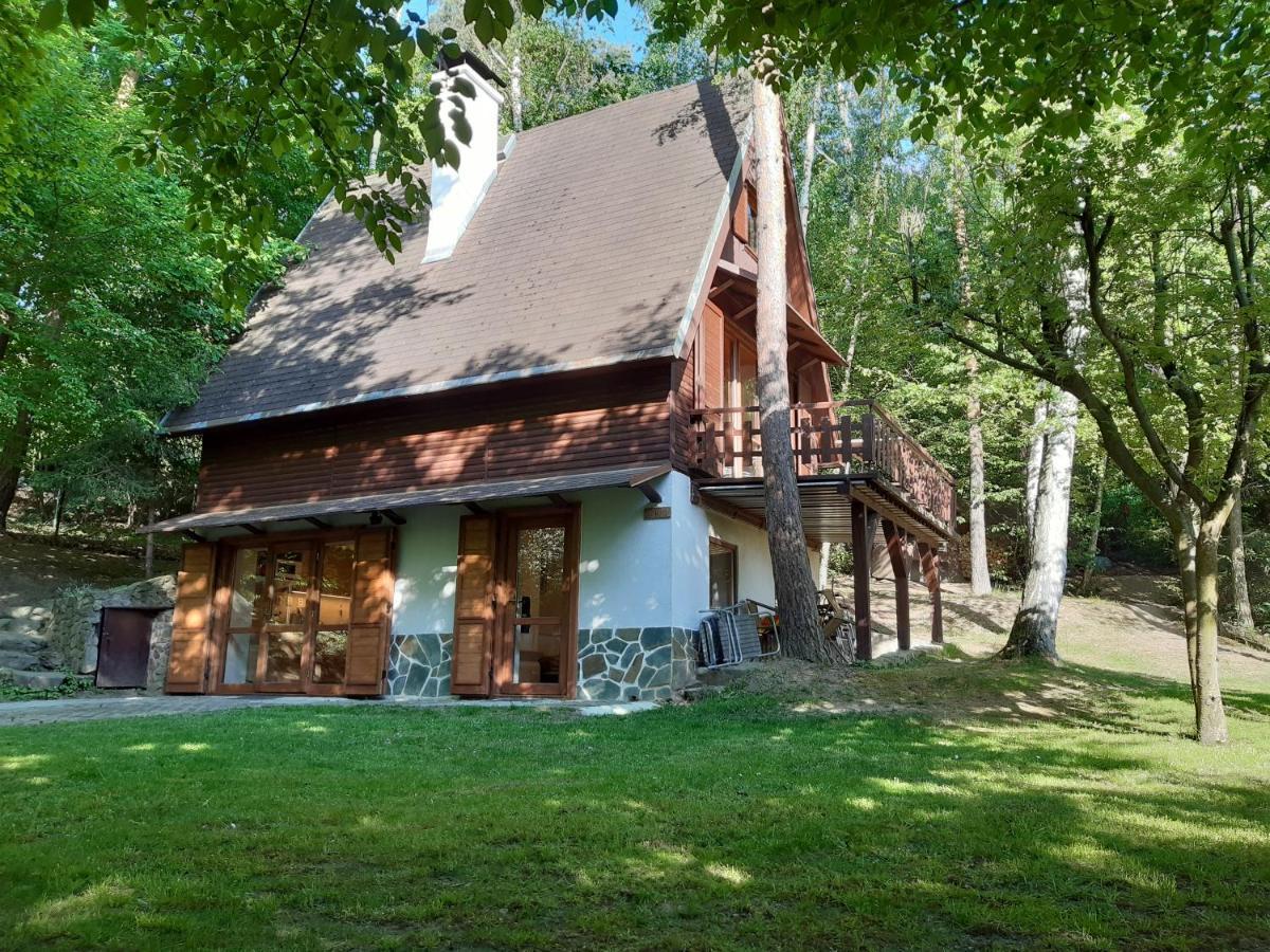 Holiday Home Zajicovi Rabyne エクステリア 写真