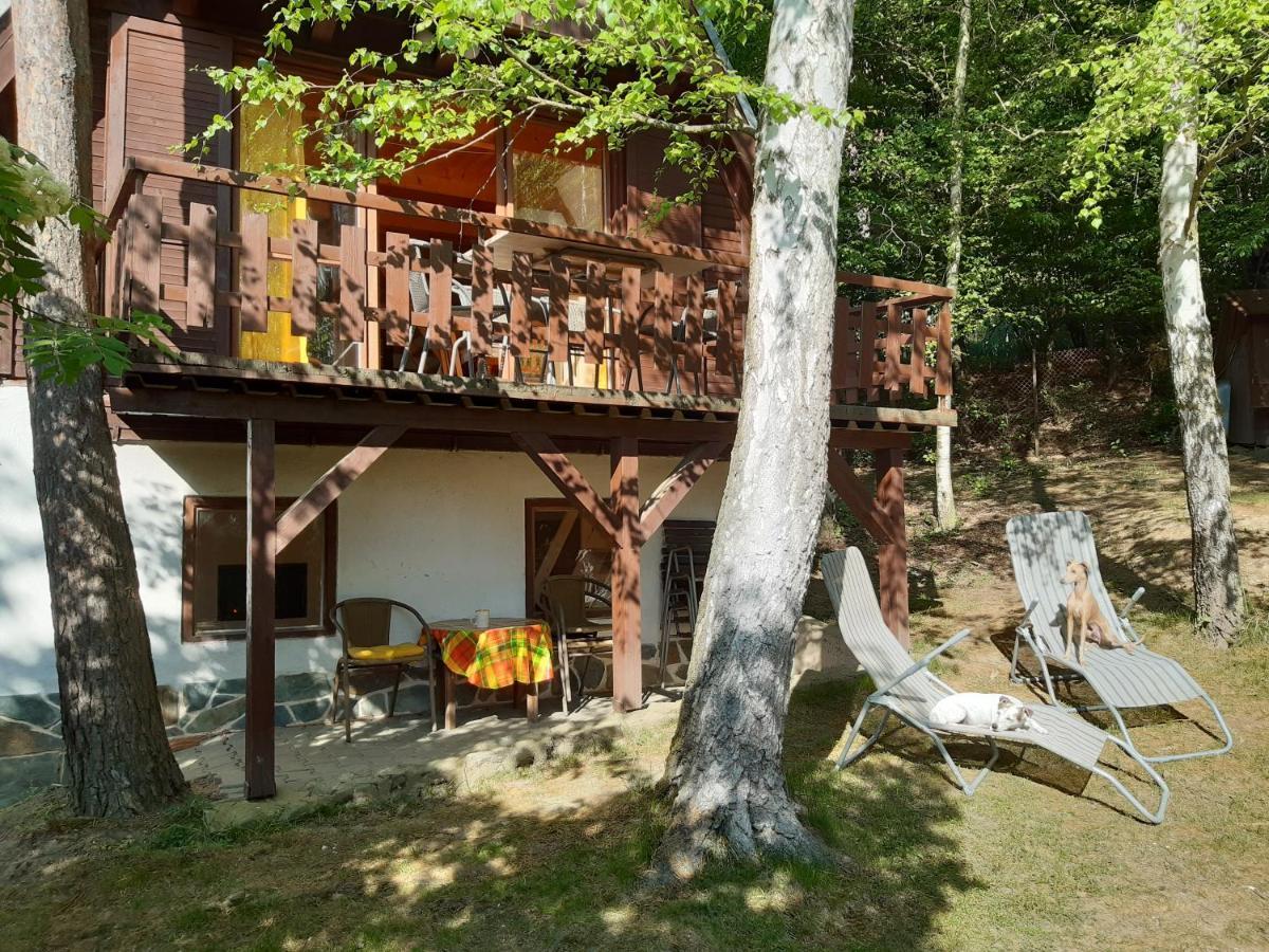 Holiday Home Zajicovi Rabyne エクステリア 写真