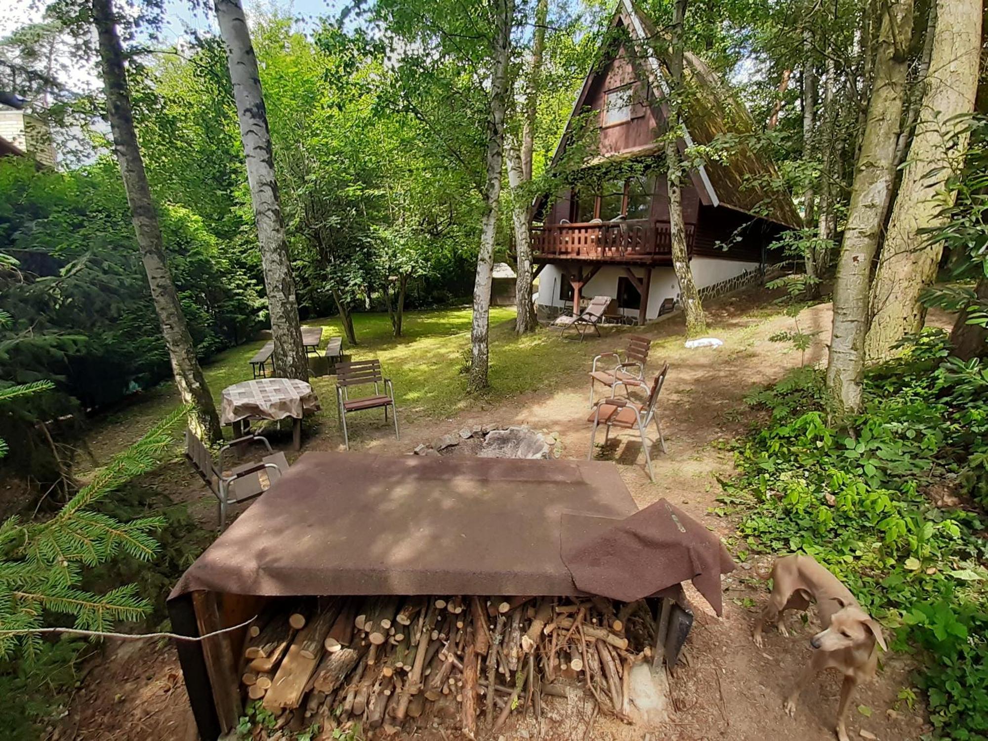 Holiday Home Zajicovi Rabyne エクステリア 写真